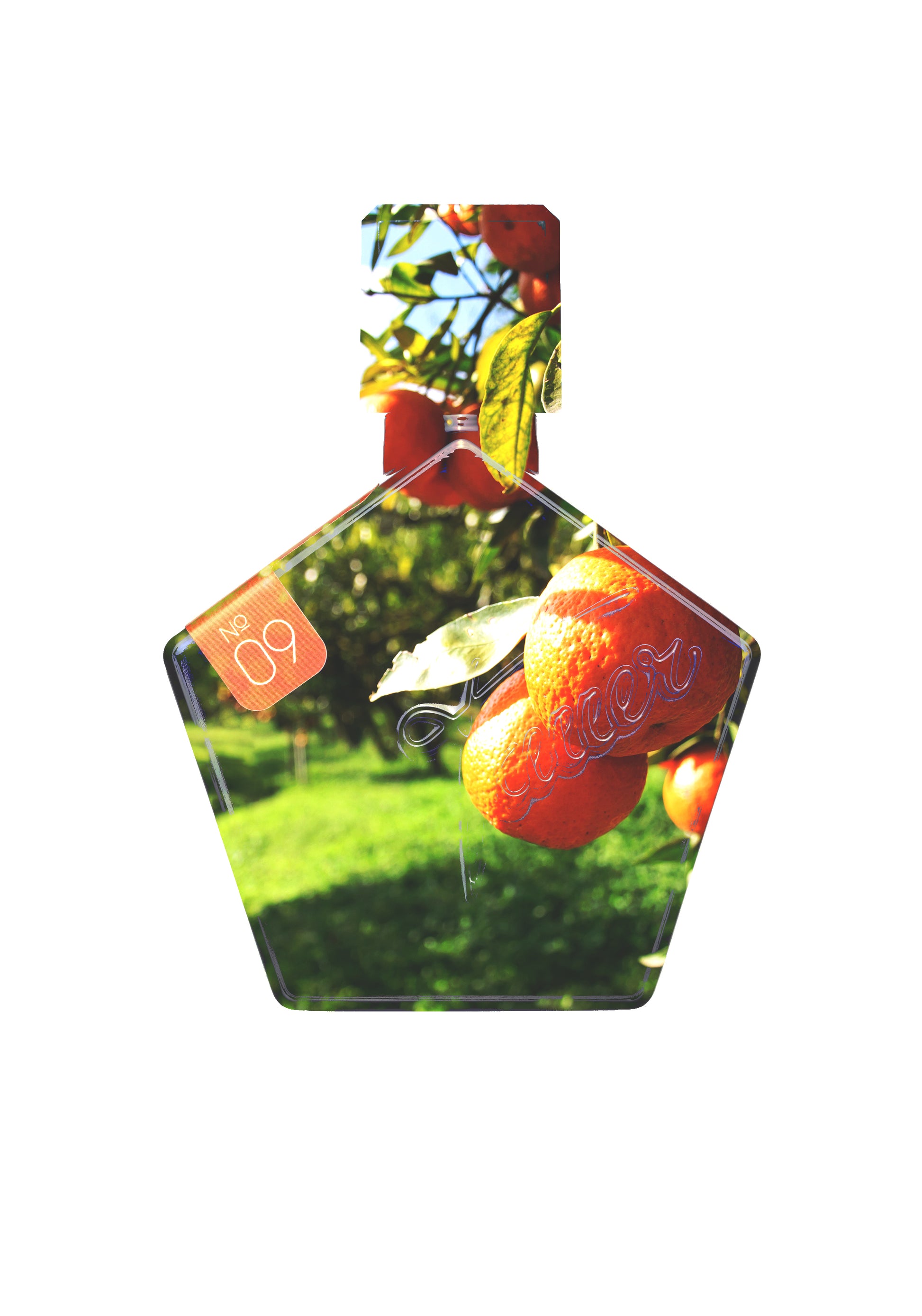 Tauer Orange Star Eau De Parfum