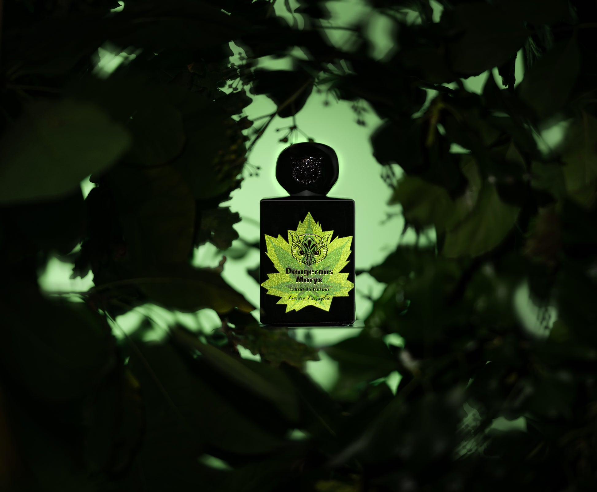 Lorenzo Pazzaglia Dangerous Maryx Limited Edition