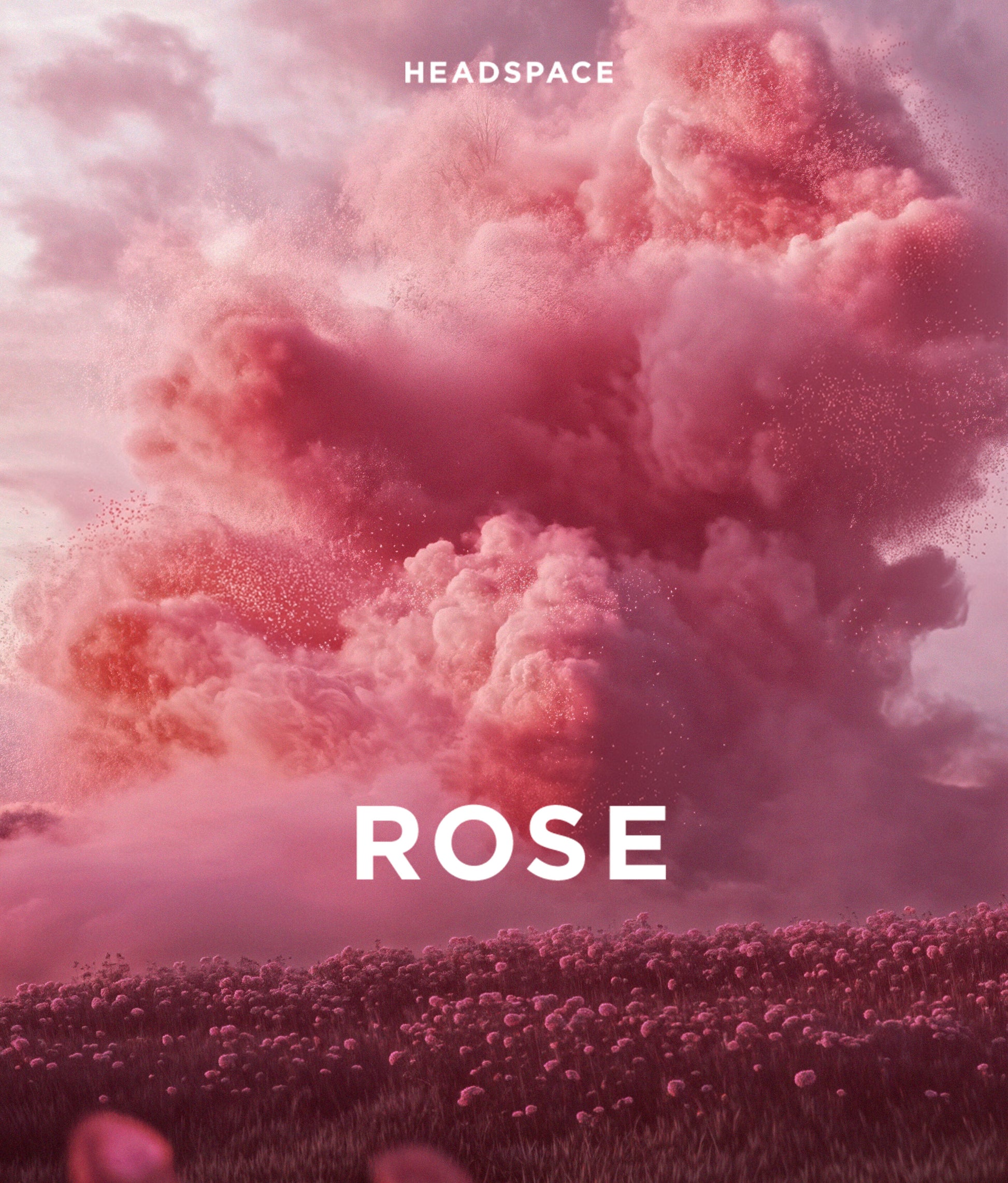Headspace Rose Eau De Parfum