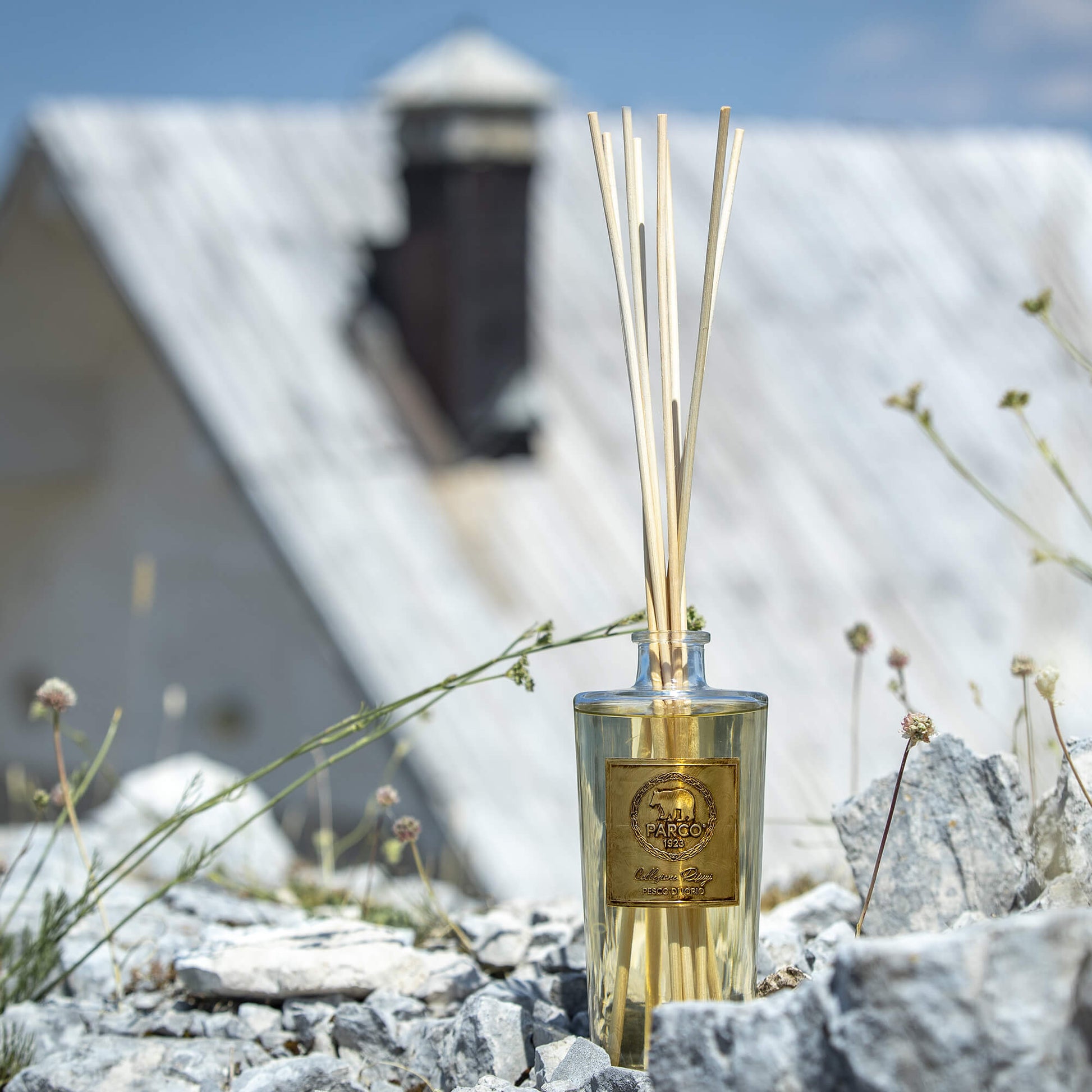 Parco 1923 Pesco Di Iorio    Diffusore