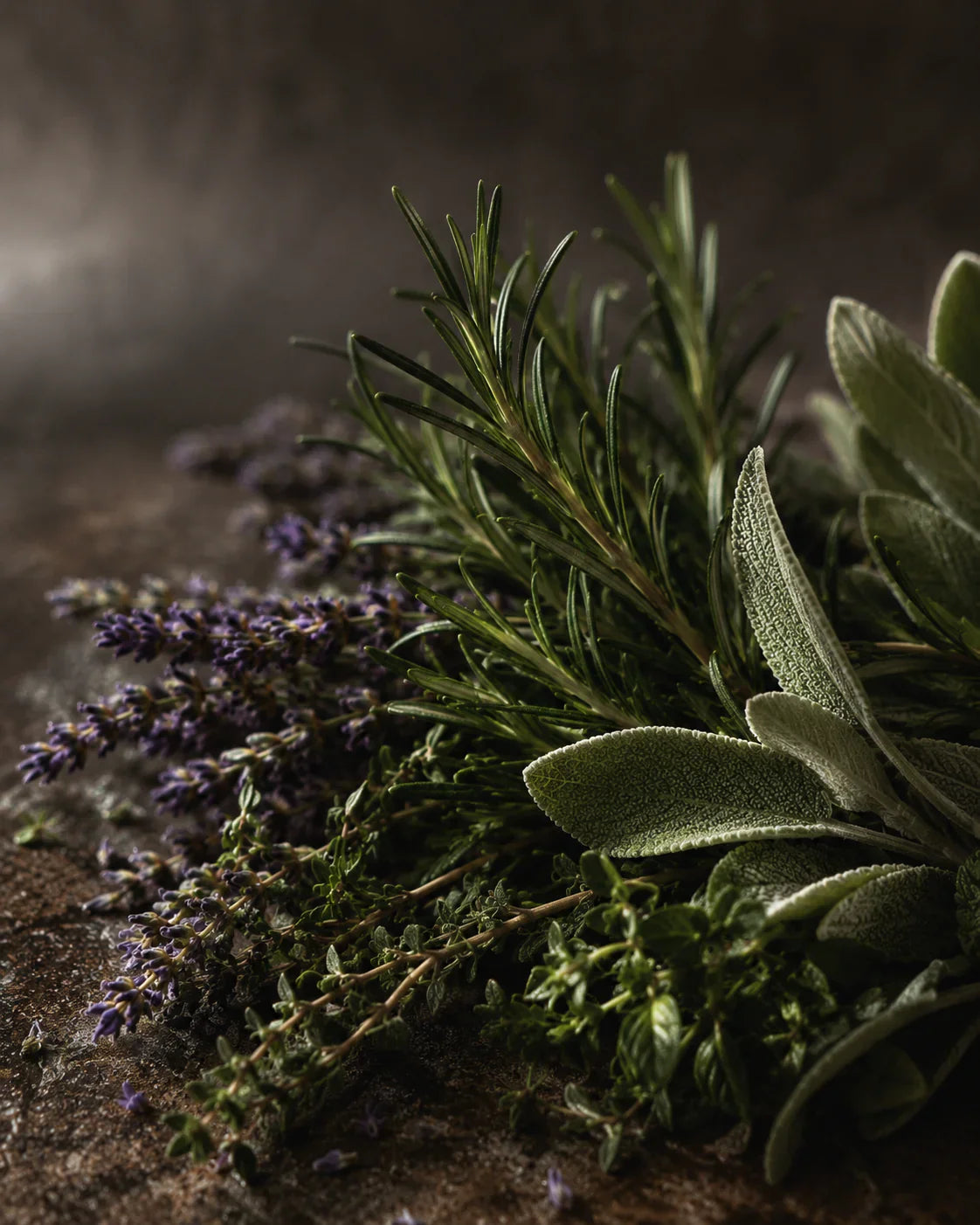 Composizione botanica artistica con rosmarino, salvia, timo e lavanda su sfondo scuro, ispirata alla famiglia olfattiva aromatica della profumeria di nicchia.