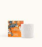 Scatola E Packaging Illustrato Della Candela Profumata Fragonard Fleur D Oranger.