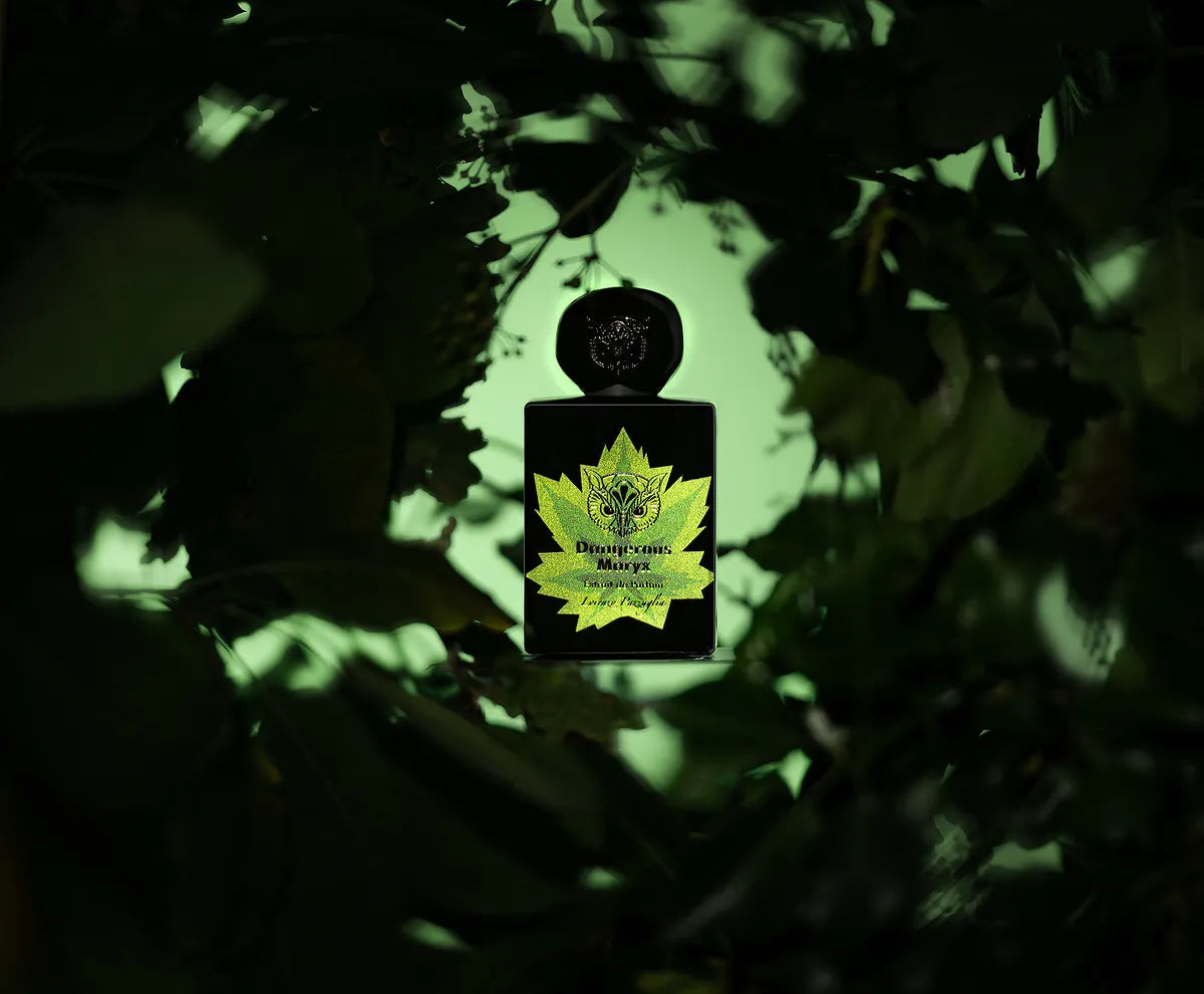 Lorenzo Pazzaglia Dangerous Maryx: ambientazione artistica della fragranza con note di tabacco e cannabis - Boutique Teramo